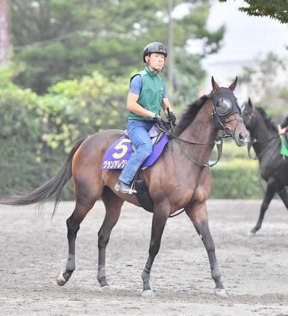 　心身ともに成長したグランアレグリア