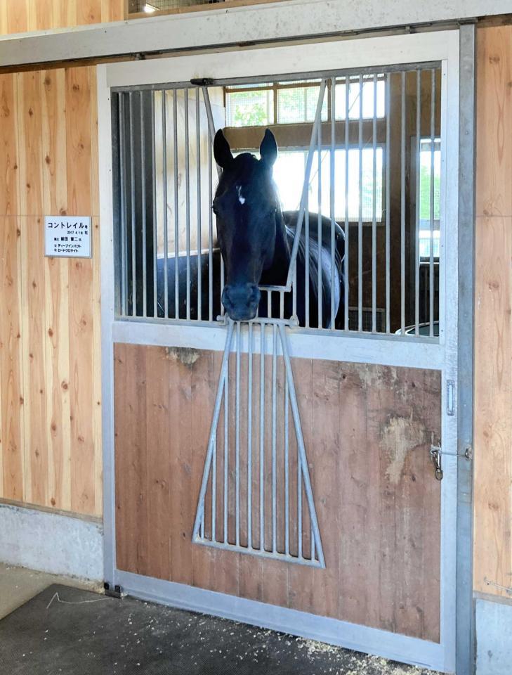 　元気な姿を見せたコントレイル