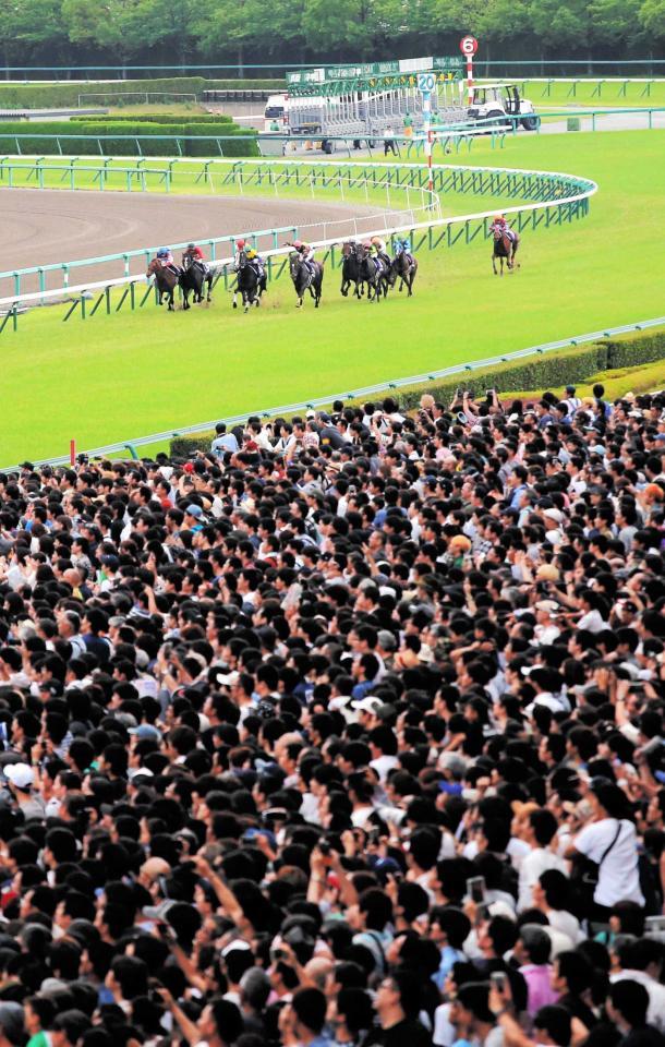 JRAが競馬場のファン入場再開 10月10日から東京、京都、新潟各競馬場で指定席事前購入者のみ/競馬・レース/デイリースポーツ online