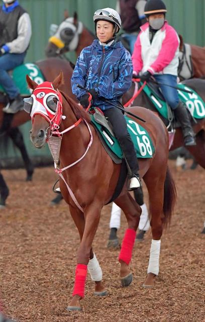 【POG】ルージュバック弟・テンカハル好気配 藤岡佑も合格点「雰囲気良さそう」