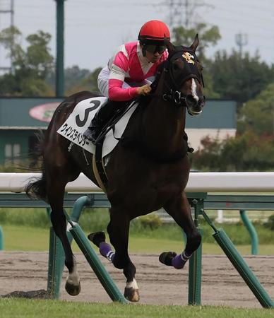 　５Ｒの２歳新馬戦を制したクインズラベンダー