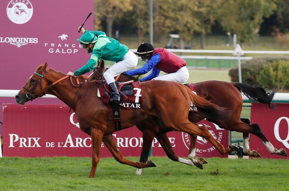 【凱旋門賞】唯一の日本馬ディアドラは8着/競馬・レース/デイリースポーツ online 【凱旋門賞】唯一の日本馬ディアドラは8着/競馬・レース/デイリースポーツ online