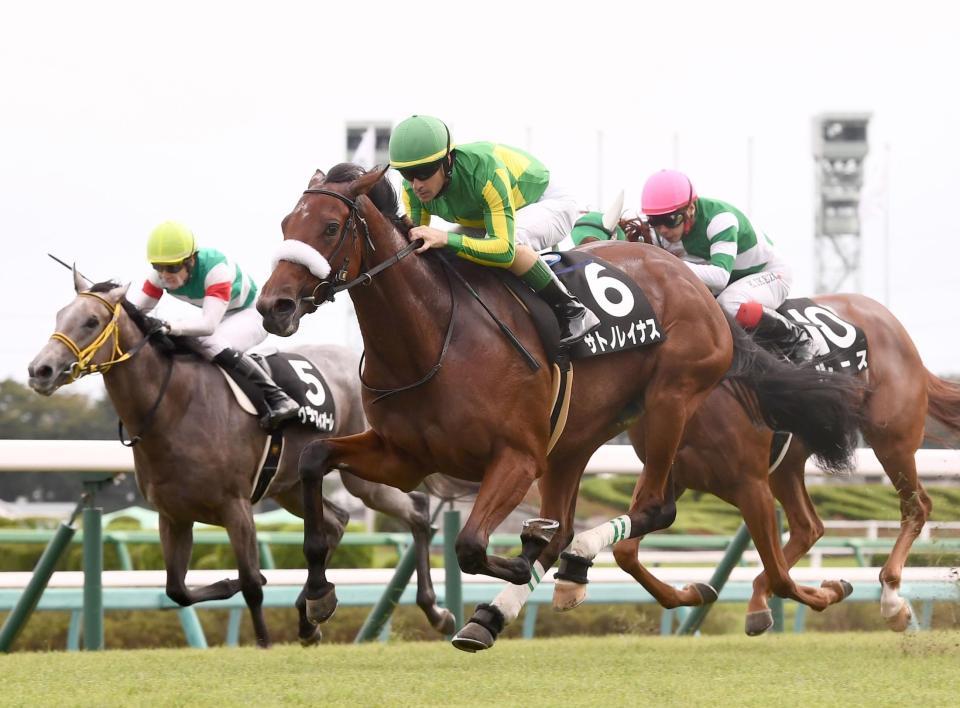 　サフラン賞を制したサトノレイナス（中央）（撮影・園田高夫）