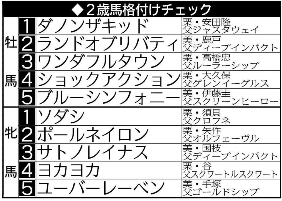 ２歳馬格付けチェック表