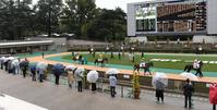 中央競馬も有観客が再開され、パドックで馬をみる観客＝東京競馬場