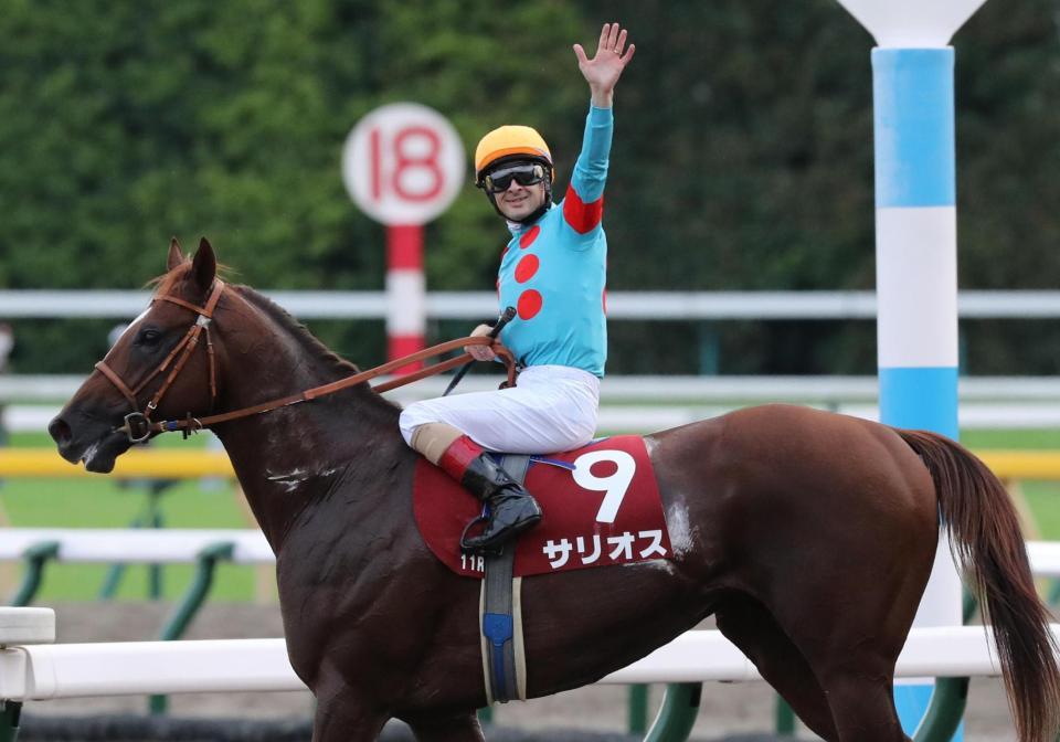 毎日王冠】サリオスが圧巻の走り！！３馬身差で古馬を一蹴/競馬