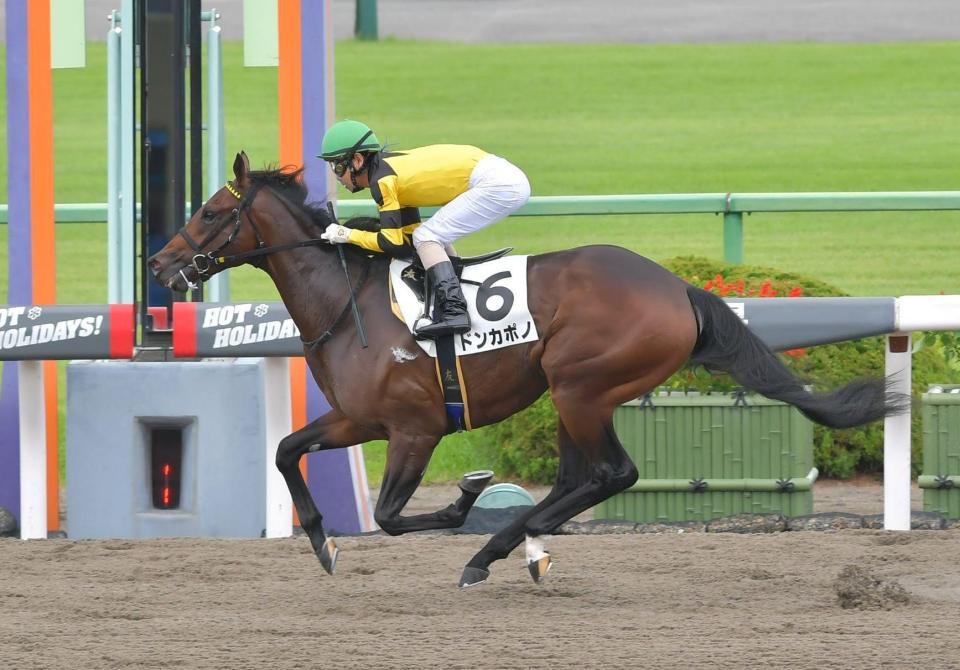 　新馬戦を快勝したドンカポノ＝京都競馬場（撮影・石湯恒介）