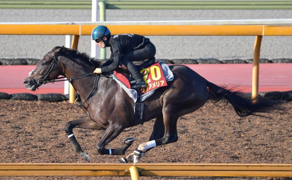 　川田を背に順調ぶりをアピールしたリアアメリア