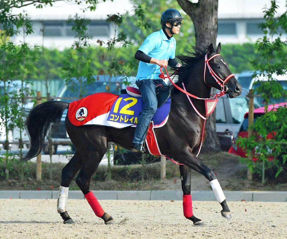 　偉業達成へ着々と準備を進めるコントレイル（撮影・石湯恒介）