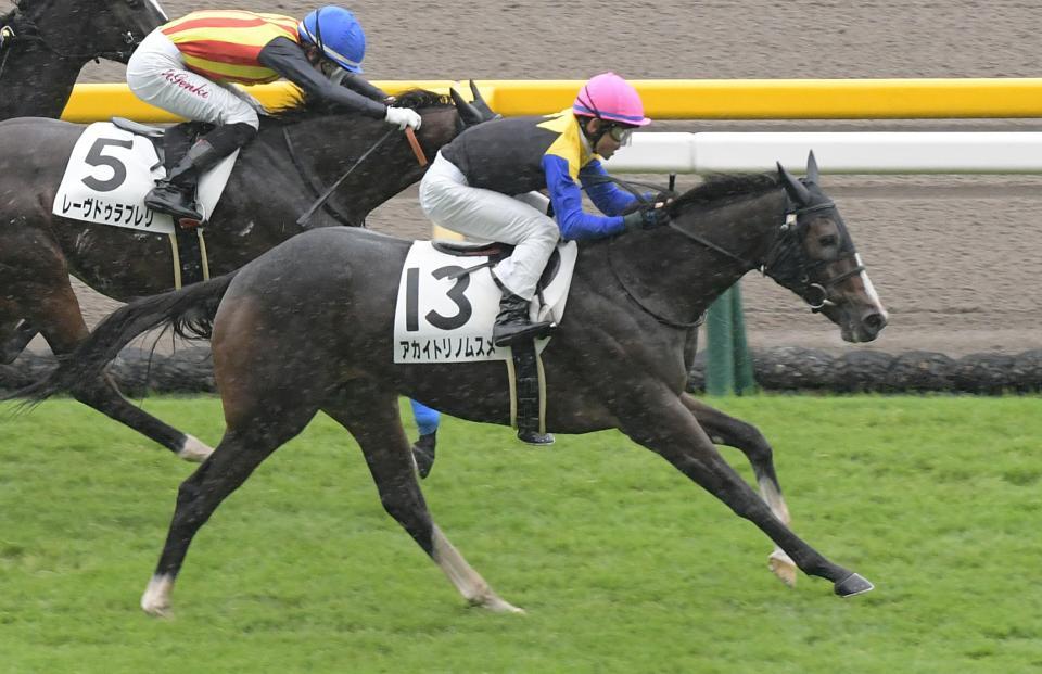 ２歳未勝利を制したアカイトリノムスメ＝東京競馬場