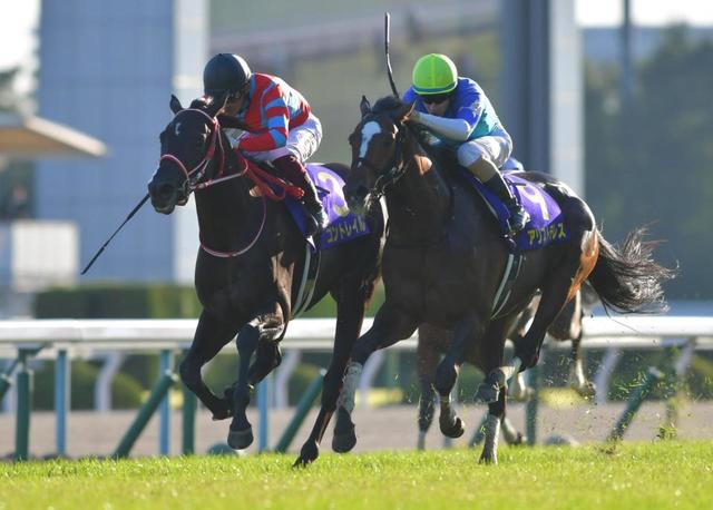 15枚限定 三冠達成レース コントレイル レインボーカード 菊花賞 競馬 15枚限定 三冠達成レース コントレイル レインボーカード 菊花賞 競馬