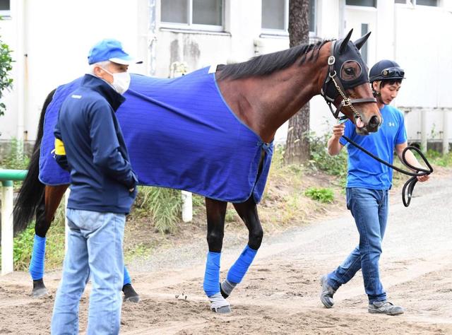 【天皇賞】アーモンドアイ態勢万全！史上初の芝Ｇ１・８勝へ　ルメール「力出せそう」