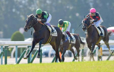 　仕切り直しの一戦をきっちりモノにしたディープモンスター（左）＝京都競馬場（撮影・石湯恒介）