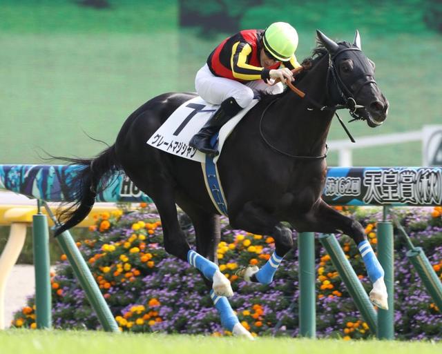 【POG】グレートマジシャン勝負根性ある ルメール「ずっといい感じ。センスある」