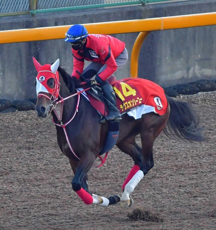 　坂井を背に追い切ったラヴズオンリーユー