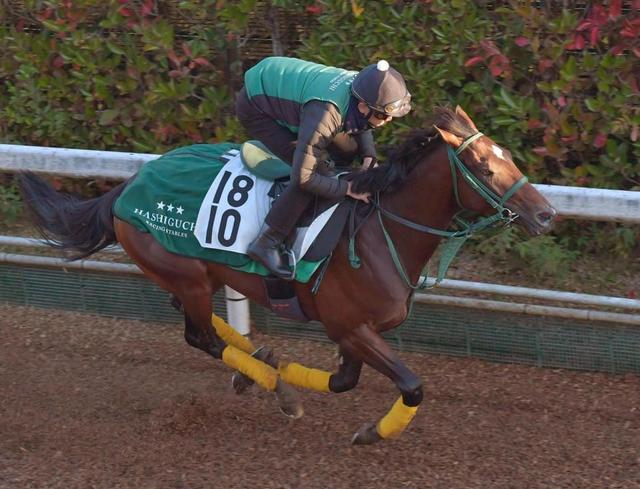 ショップ ベスト タッチ ダウン