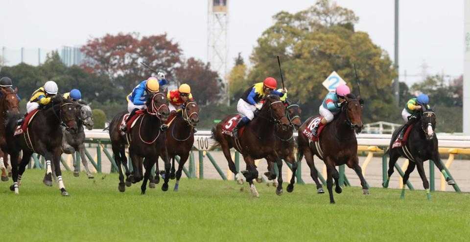 好位から抜け出すオーソリティ（右から２頭目）。左端はラストドラフト＝東京競馬場