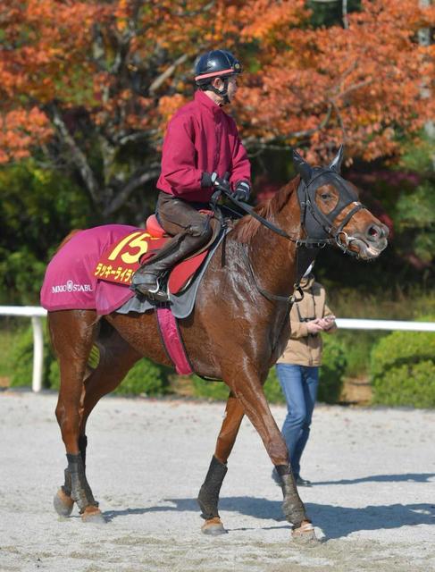 【エリザベス女王杯】ラッキーライラック好調キープ 阪神開催も歓迎