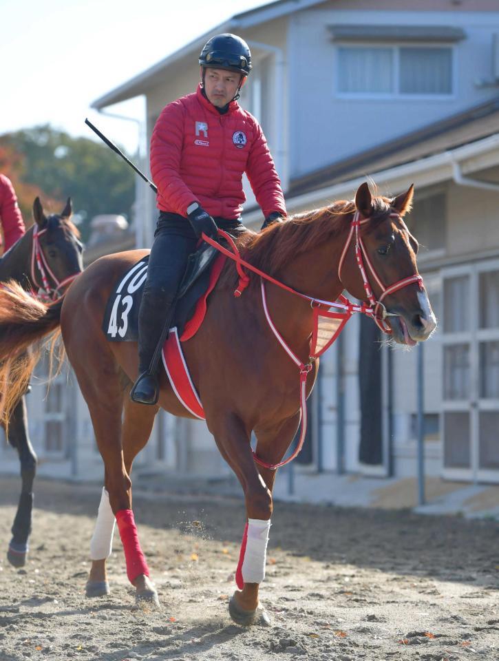 　大物感漂うホウオウアマゾン