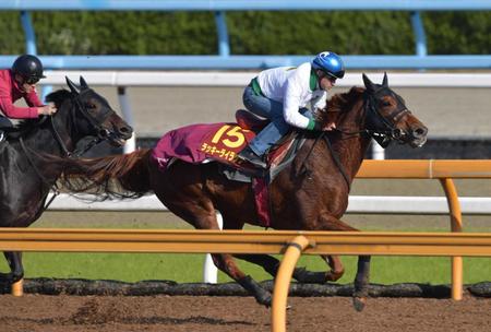 　文句なしの動きを見せたラッキーライラック（撮影・佐々木彰尚）