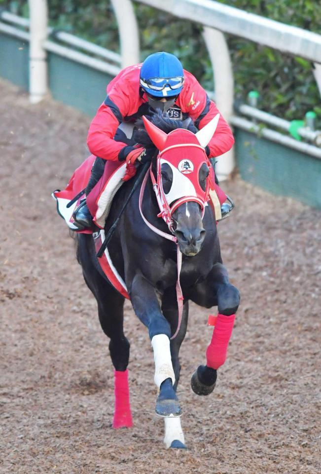 　シャープな動きを見せたラヴズオンリーユー（撮影・石湯恒介）