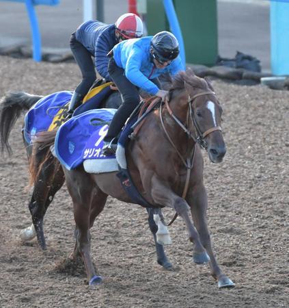 　美浦Ｗでの併せ馬でサリオス（手前）は力強い走りを見せた