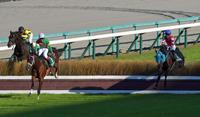 最終障害を飛越するタガノエスプレッソ（左から２頭目）とオジュウチョウサン（右端）＝阪神競馬（撮影・石湯恒介）