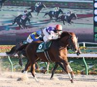 外から突き抜けるサンライズノヴァ（手前）