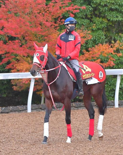 【危険な人気馬】阪神１１Ｒ　ラヴズオンリーユー