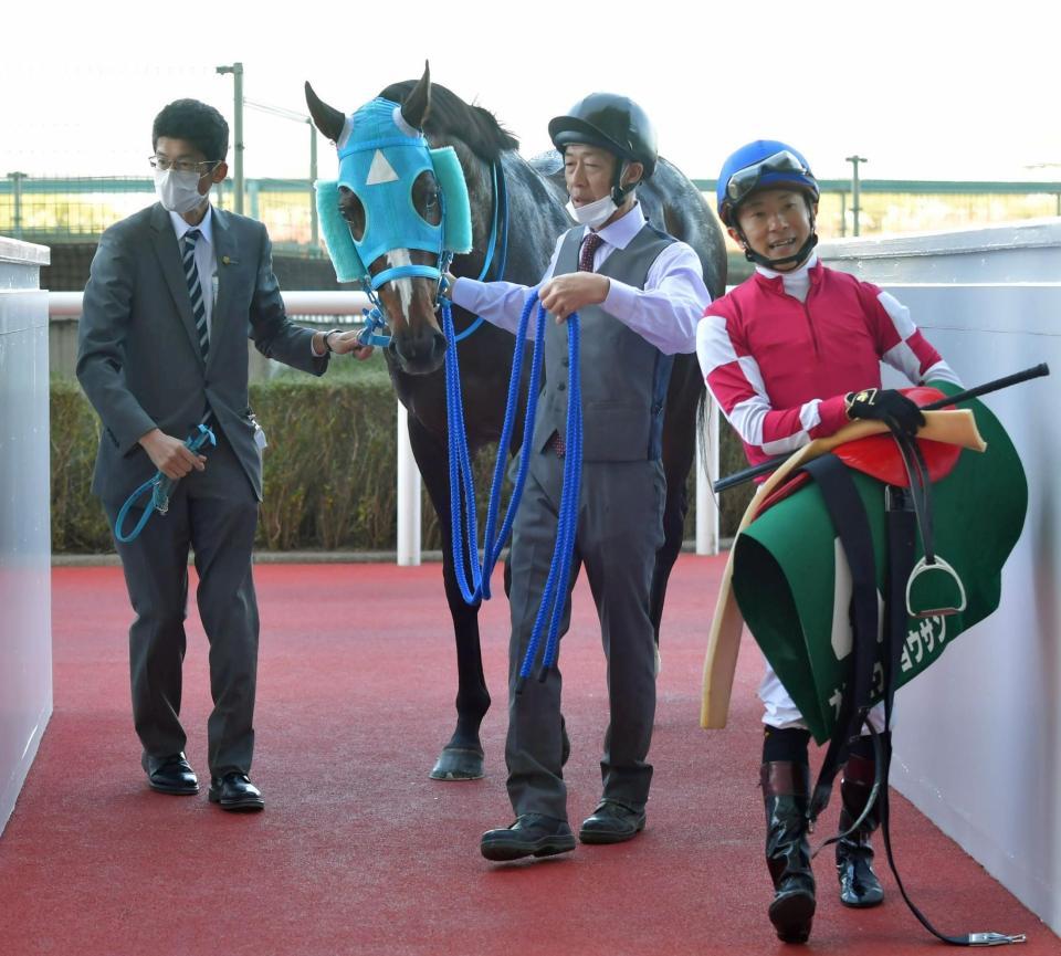 ３着に敗れたオジュウチョウサン＝阪神競馬場（撮影・石湯恒介）