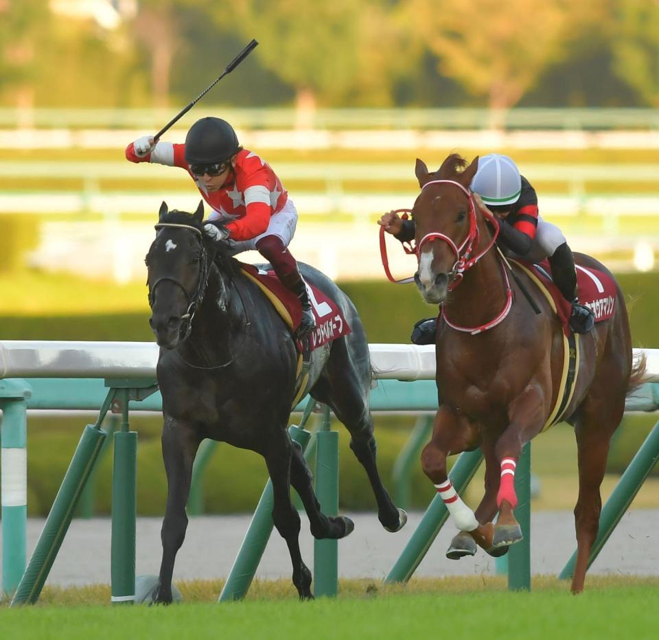 最内をついてホウオウアマゾン（右）をわずかに捉えるレッドベルオーブ＝阪神競馬場（撮影・石湯恒介）