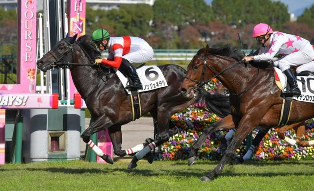 ｐｏｇ ２歳戦独断評価 ダノンジェネラル バーデンヴァイラーに高評価 競馬 レース デイリースポーツ Online