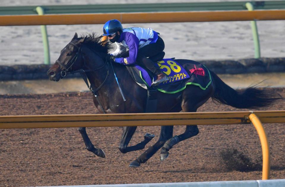 　松山を背に軽快に駆けたデアリングタクト（撮影・石湯恒介）