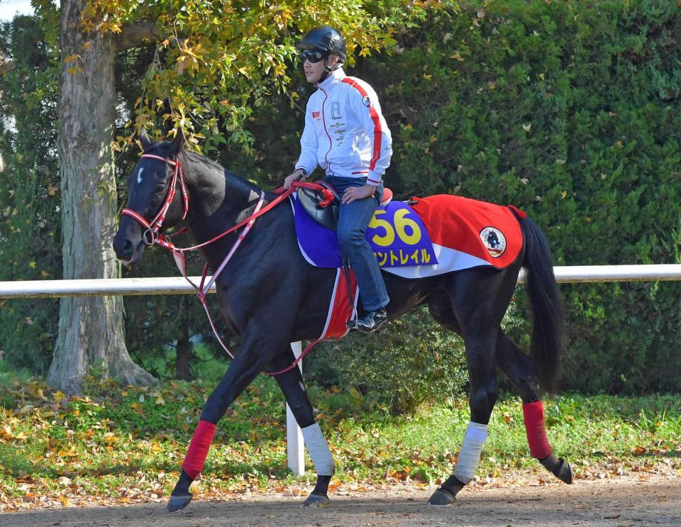 　上向いてきたコントレイル