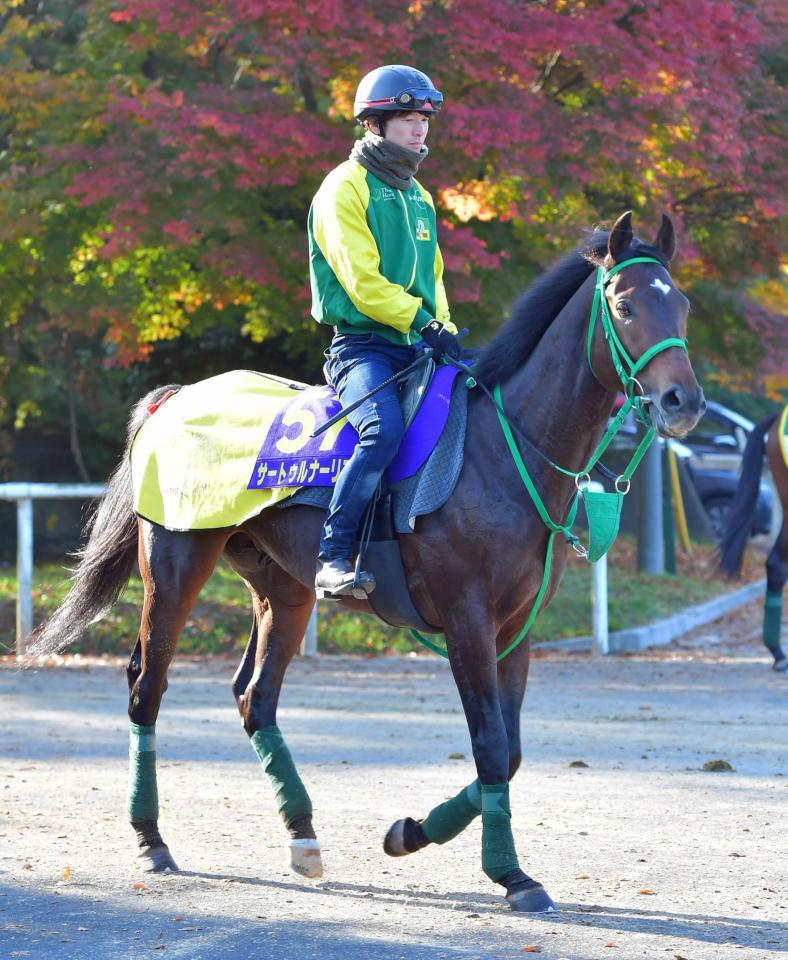 サートゥルナーリア