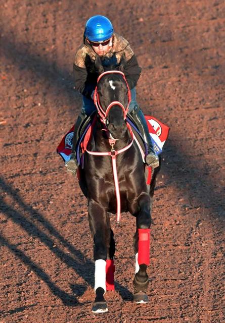 【ジャパンＣ】コントレイル異例の全休日騎乗　福永不安見極めた「いいとき近づいた」