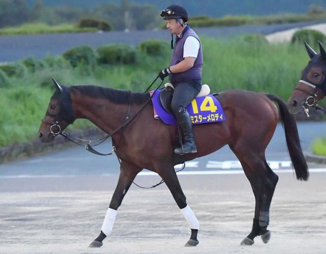 ミスターメロディが引退、種牡馬入りへ　１９年高松宮記念Ｖ、通算１５戦４勝