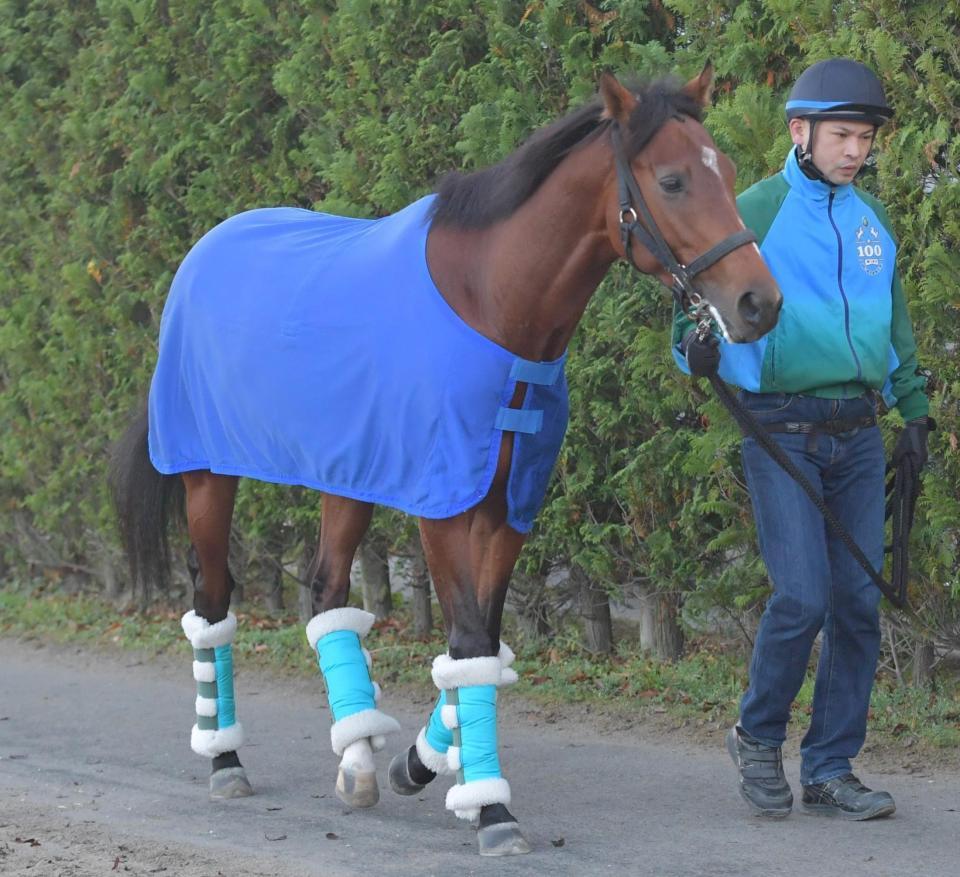 　曳き運動をするヴィクティファルス