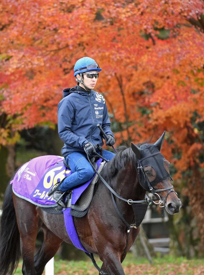 　昨年の菊花賞馬ワールドプレミア