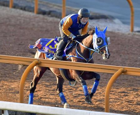 　栗東ＣＷで切れ味を見せつけたタイムフライヤー