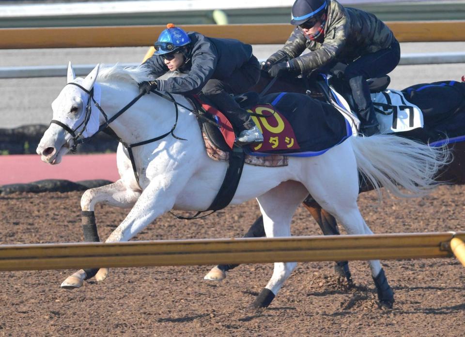 　吉田隼を背に追い切ったソダシ（手前）＝撮影・佐々木彰尚