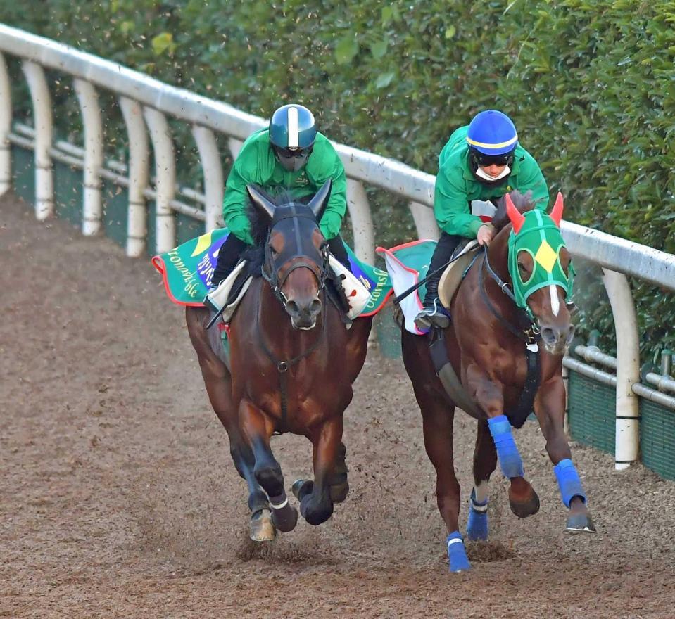 　サンライズノヴァ（右）と併せ馬を行ったクリソベリル（撮影・石湯恒介）