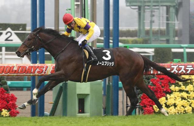 【葉牡丹賞】ノースブリッジが４馬身差の圧勝劇　マイペースの逃げに持ち込む