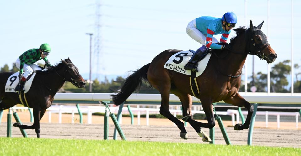 大外から豪快に差し切ったヤマニンルリュー＝中京競馬場