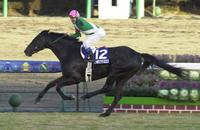 レコードで快勝、有馬記念のラストランを見事に飾ったシンンボリクリスエス＝２００３年１２月２８日、中山