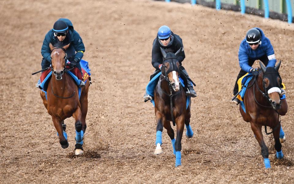 　美浦Ｗでの３頭併せで追い切るサトノレイナス（左）＝撮影・園田高夫