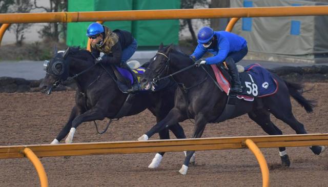 【ＰＯＧ】レッドベルオーブ、兄が果たせなかったＧ１制覇へ視界良好（栗東発）