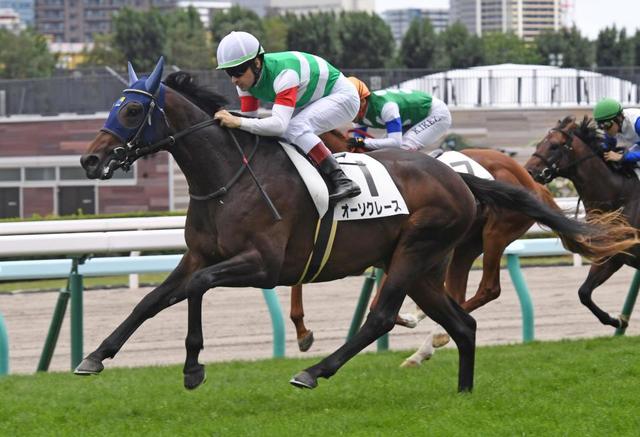 【ＰＯＧ】オーソクレース、ホープフルＳへ順調調整　鞍上はルメール（美浦発）