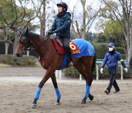 　サトノレイナス