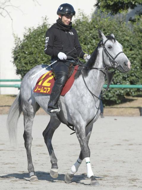 【香港カップ】ノームコアがＶ、ウインブライト２着で日本馬ワンツー